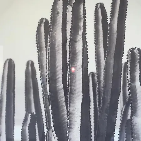 Appartement, Parking Gratuit, Sortie, Autoroute, La Meridienne